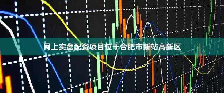 网上实盘配资项目位于合肥市新站高新区